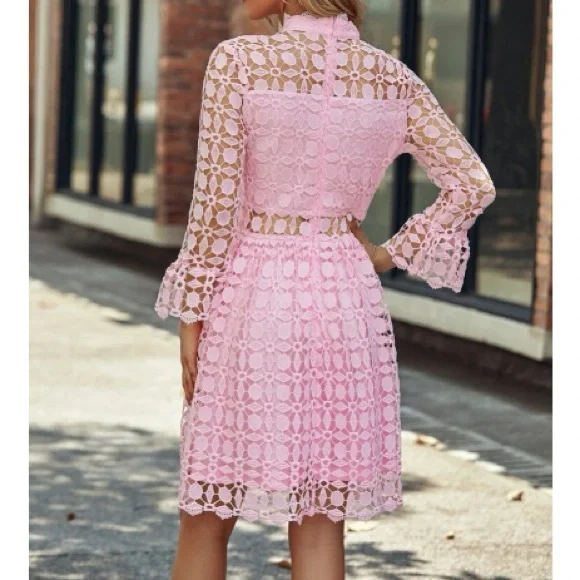 Luxurious mesh insert lace dress